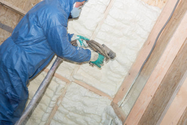 Best Radiant Barrier Insulation  in Snyder, TX